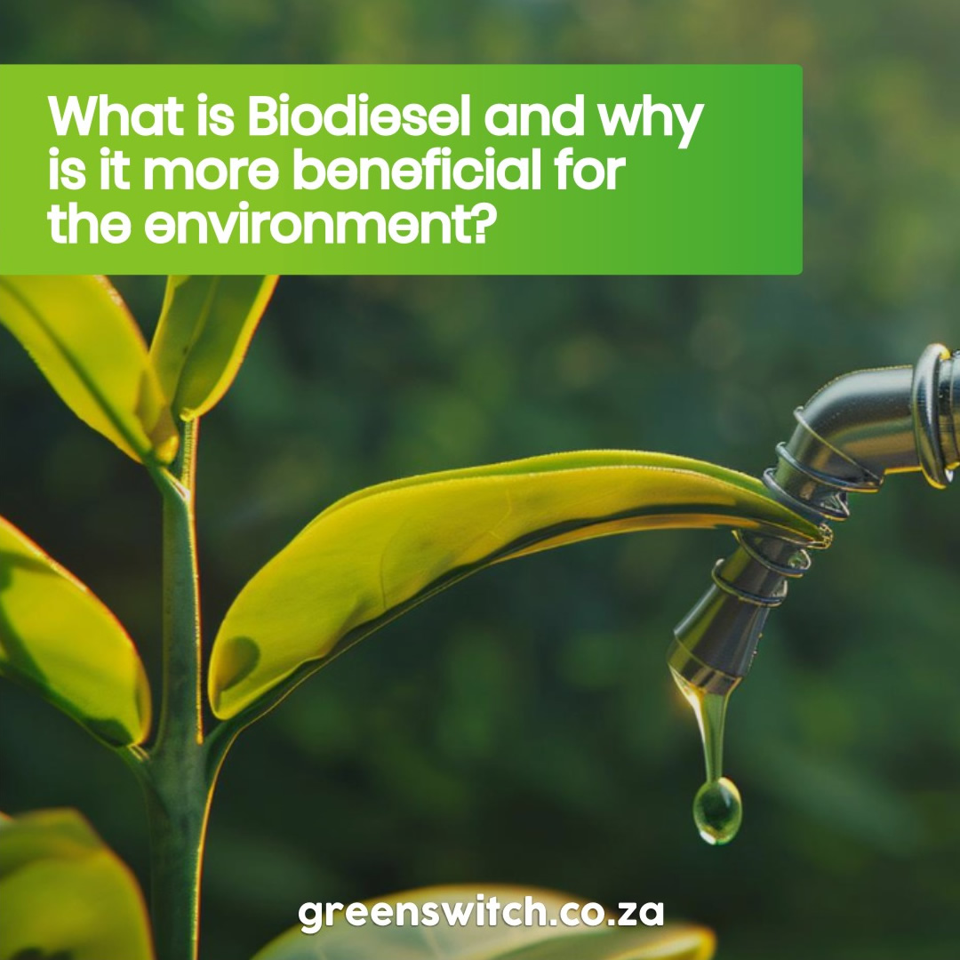 What is biodiesel and why is it more beneficial for the environment ...